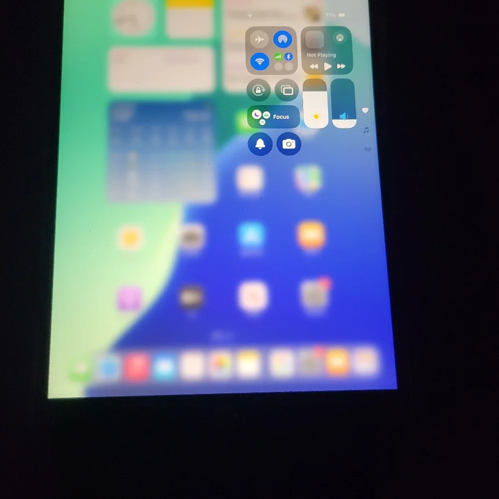 Apple this ipad
